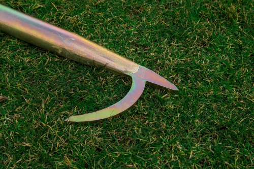 Grot bosaka lekkiego