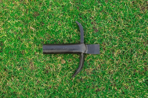 Grot bosaka sufitowego