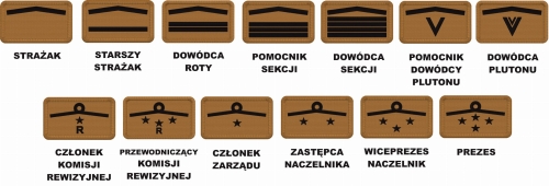 Piaskowe Dystynkcje OSP do Munduru Bojowego