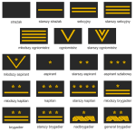 Czarne Dystynkcje PSP do Munduru Bojowego 